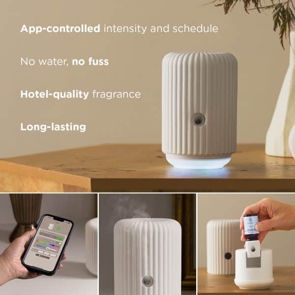 Scentsy Solo Diffuser & One Fragrance Cartridge Bundle Info Graphic Scentsy Solo Diffuser & One Fragrance Cartridge Bundle Info Graphic
