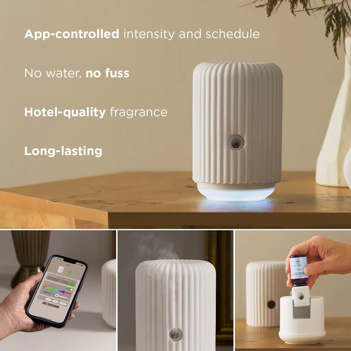 Scentsy Solo Diffuser & One Fragrance Cartridge Bundle Info Graphic Scentsy Solo Diffuser & One Fragrance Cartridge Bundle Info Graphic