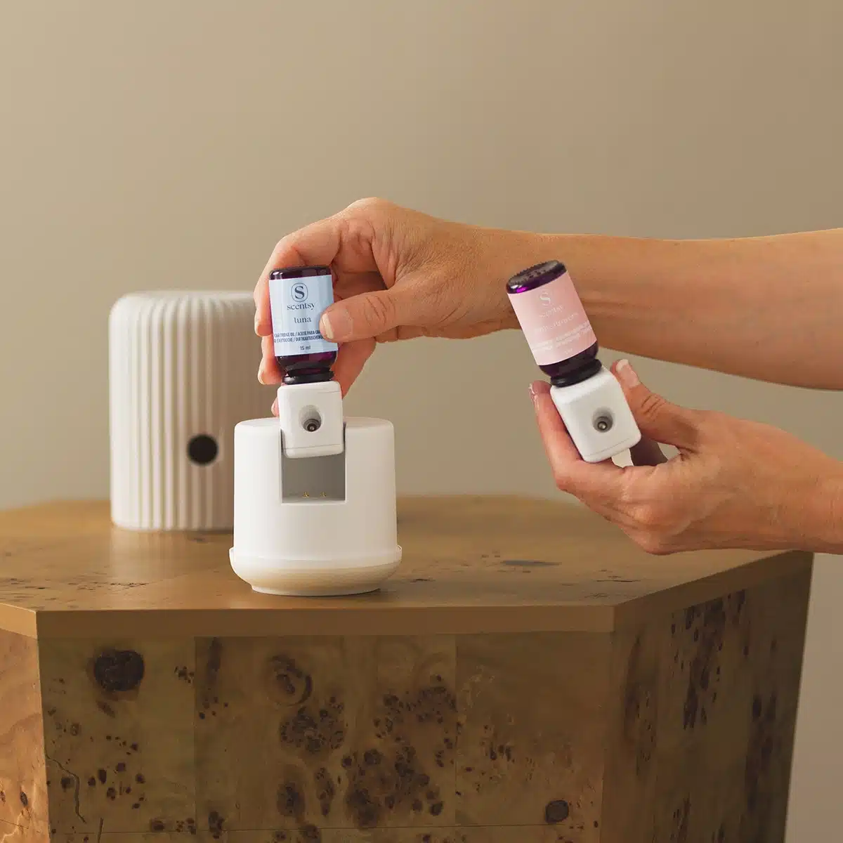 Scentsy Solo Diffuser & One Fragrance Cartridge Chaning Scentsy Solo Diffuser & One Fragrance Cartridge Chaning