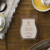 Spiced Custard Scentsy Wax Bar Styled