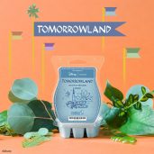 Tomorrowland Scentsy Wax Bar Melt