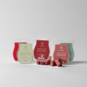 Alpine Holiday Scentsy Bar 5-pack