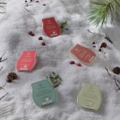 Alpine Holiday Scentsy Bar 5-pack Styled