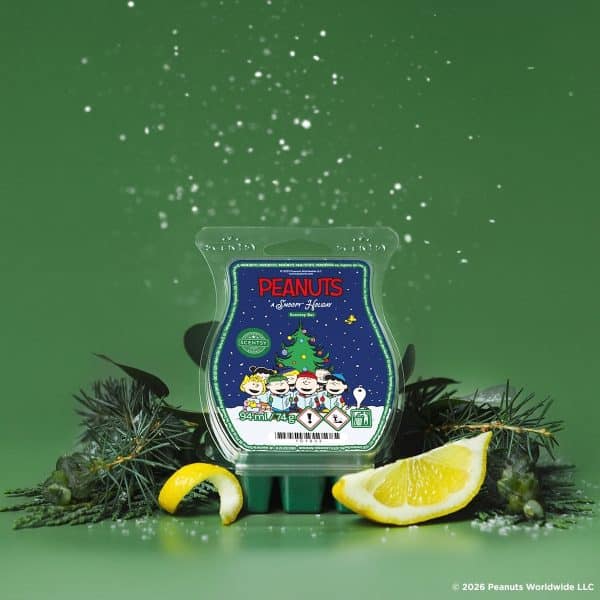 Peanuts™ A Snoopy Holiday – Scentsy Bar Styled Peanuts™ A Snoopy Holiday – Scentsy Bar Styled