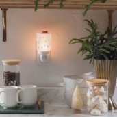 Powder Day Scentsy Plugin Mini Warmer